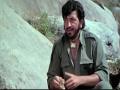 Amjad Khan Birthday Special : या कारणामुळे अमजद खान सेटवर घेऊन आले होते चक्क दोन म्हशी - Marathi News | Amjad Khan Birthday Special: Amjad khan was having tea addiction bring buffalo on set | Latest filmy News at Lokmat.com