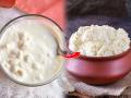 थंडीच्या दिवसांत लोणी निघायला वेळ लागतो? १ सोपी ट्रिक, ताक घुसळताना १० मिनीटांत निघेल लोणी... - Marathi News | How To Make Butter In Winter Season : Does it take time to Make butter on cold days? 1 simple trick, in 10 minutes you will get best butter... | Latest sakhi News at Lokmat.com