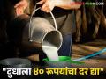 Milk Subsidy : दुधाला ५ रुपयांचेच अनुदान मिळणार; सरकार ठाम! - Marathi News | Milk rate maharashtra Protest akole ahmednagar price movement flared up government | Latest agriculture News at Lokmat.com