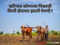Crop Cultivation : यंदाच्या खरिपात आत्तापर्यंत कोणत्या पिकाची किती क्षेत्रावर झाली पेरणी? - Marathi News | Crop Cultivation: In this year's kharif, which crop has been sown on how many areas? | Latest agriculture News at Lokmat.com