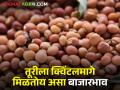 सकाळच्या सत्रात तुरीला क्विंटलमागे मिळतोय असा बाजारभाव.. - Marathi News | | Latest agriculture News at Lokmat.com