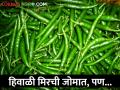 जाफराबादी हिरव्या मिरचीचा ठसका बाजारपेठेत घसरला, काय मिळतोय भाव? - Marathi News | Jafarabadi Green Chilli has decreased in the market, what is the price? | Latest agriculture News at Lokmat.com