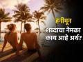 Everything you need to know about why is it called a Honeymoon - Hindi News | Everything you need to know about why is it called a Honeymoon | Latest lifestyle Photos at Lokmattimes.com