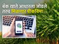 आधार लिंक नाही, मग पिकविमा भरपाई विसरा - Marathi News | No Aadhaar link, then forget crop insurance compensation | Latest agriculture News at Lokmat.com