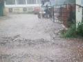 Kolhapur: आजऱ्यात वादळी वाऱ्यासह गारांचा पाऊस; काजू, आंबा पिकांना धोका - Marathi News | Hail rain with strong winds in aajra Kolhapur | Latest kolhapur News at Lokmat.com