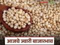 Jwari Bajar Bhav : ज्वारी बाजारात काय आहे स्थिती; वाचा आजचे ज्वारी बाजारभाव - Marathi News | Jwari Bazaar Bhav: What is the situation in the jowar market; Read today's jowar market price | Latest agriculture News at Lokmat.com