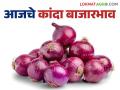 Onion Market Rate : राज्यात कांद्याची आवक मंदावली; वाचा काय मिळतोय दर - Marathi News | Onion Market Rate: Onion arrivals in the state have slowed down; Read what is the rate being obtained | Latest agriculture News at Lokmat.com