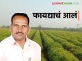 आले पिकाचे टप्प्यात नियोजन करून उत्पादनाचा करेक्ट कार्यक्रम करणारे शेतकरी भारत शिंदे यांची यशकथा - Marathi News | Bharat Shinde, a farmer who planned the ginger crop in stages and made a correct production program | Latest agriculture News at Lokmat.com