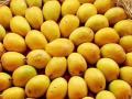 विक्रमी आवक! बाजारात आंब्याचा महापूर; सव्वा लाख पेट्या दाखल  - Marathi News | Record arrivals A deluge of mangoes in the market A quarter of a million boxes filed | Latest navi-mumbai News at Lokmat.com