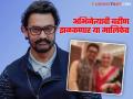 Aamir Khanच्या बहिणीला पाहिलंत का?, ती देखील आहे प्रसिद्ध अभिनेत्री - Marathi News | Have you seen Aamir Khan's sister?, Nikhat Khan is also a famous actress | Latest filmy News at Lokmat.com