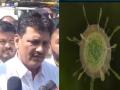 HMPV Virus: काळजी करू नका, आरोग्यमंत्र्यांनी जनतेला केले आवाहन; म्हणाले.. - video - Marathi News | State Health Minister Prakash Abitkar appealed to the public after HMP virus patients found in India | Latest maharashtra News at Lokmat.com