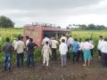 चालकाला चक्कर आल्याने एसटी बस थेट शेतात - Marathi News | Due to the driver's dizziness, ST bus directly to the field | Latest solapur News at Lokmat.com