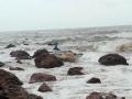 आचरा समुद्रात पात बुडाली; सुदैवाने मच्छिमार बचावले - Marathi News | Achara drowned in the sea; Fortunately, the fisherman survived | Latest sindhudurga News at Lokmat.com