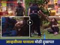 जंगलराज टास्कमध्ये बंदूक मिळवताना जान्हवी कळवळली, झाली मोठी दुखापत! नवीन प्रोमो बघाच - Marathi News | actress Jahnavi killekar got injured while playing in Jungleraj task in bigg boss marathi 5 new promo | Latest filmy News at Lokmat.com