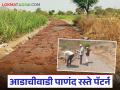 गावातील रस्त्यांना नंबर तसेच महापुरुषांची नावे व दुतर्फा झाडे; वाचा आडाचीवाडी पाणंद रस्ते पॅटर्न - Marathi News | The village roads have numbers, names of great men and trees on both sides; Read Adachiwadi Panand road pattern | Latest agriculture News at Lokmat.com