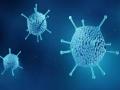 Adenovirus : पश्चिम बंगालमध्ये नवीन व्हायरसमुळे खळबळ, लोकांमध्ये भीतीचे वातावरण, 'ही' आहेत लक्षणे - Marathi News | adenovirus flu symptoms in west bengal know what is treatment | Latest health News at Lokmat.com