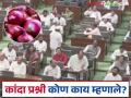 Maharashtra Budget : कांदा दर आणि निर्यात शुल्क हटविण्याबाबत अधिवेशनात काय चर्चा झाली?  - Marathi News | Latest News Maharashtra Budget session regarding removal of onion tariffs and export duties? What was discussed in session regarding removal of onion tariffs and export duties | Latest agriculture News at Lokmat.com
