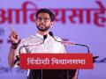 Maharashtra Election 2019 : आदित्य ठाकरेच म्हणतात, शेतकऱ्यांची कर्जमाफी अपूर्णच! - Marathi News | maharashtra assembly election 2019 Aditya Thackeray says farmers have not got loan waiver | Latest maharashtra News at Lokmat.com