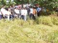 शेतकऱ्यांना योग्य नुकसान भरपाई मिळवून देण्यासाठी प्रयत्नशील! - Marathi News | Will seek to get proper compensation to farmers! | Latest kolhapur News at Lokmat.com