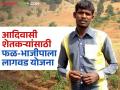 Agriculture News : आदिवासी शेतकऱ्यांना फळ-भाजीपाला लागवडीसाठी निधी मंजुरी, वाचा सविस्तर  - Marathi News | Latest News agriculture News Funds approved for fruit and vegetable scheme for tribal farmers, read in detail | Latest agriculture News at Lokmat.com