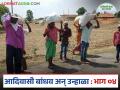 Agriculture News : आदिवासी बांधवाना आजही रोजगारासाठी स्थलांतर करावं लागतंय, कारण काय? - Marathi News | Latest news agriculture News nashik district Tribals community still have to migrate for employment | Latest agriculture News at Lokmat.com