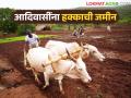या जिल्ह्यातील भूमिहीन आदिवासींना मिळणार हक्काची जमीन; ६ हजार दाव्यांना मंजुरी - Marathi News | Landless tribals in this district will get their rightful land; 6 thousand claims approved | Latest agriculture News at Lokmat.com