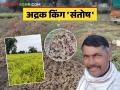 Farmer Sucessful Story : पारंपारिक शेतीला अत्याधुनिक अद्रकाची फोडणी देणारे नागरे यांची यशकथा वाचा सविस्तर - Marathi News | | Latest agriculture News at Lokmat.com