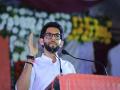 धरण खेकड्यांंमुळे फुटू शकते - आदित्य ठाकरे - Marathi News | The dam can burst with crabs - Aditya Thackeray | Latest solapur News at Lokmat.com