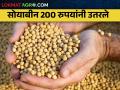 सोयाबीनचा दर दोनशे रुपयांनी उतरला; किती मिळतोय भाव? - Marathi News | The price of soybeans fell by two hundred rupees; How much is the price? | Latest agriculture News at Lokmat.com