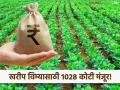Crop Insurance : शेतकऱ्यांना मिळणार 2024च्या खरिपातील प्रलंबित विमा भरपाई! 1028 कोटी मंजूर - Marathi News | Farmers will get pending crop insurance compensation for Kharif 2024! Rs 1028 crore approved | Latest agriculture News at Lokmat.com