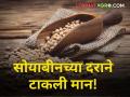 सोयाबीनचे दर ४ हजारांच्या खाली - Marathi News | maharashtra agriculture farmer market yard Soybean prices below 4 thousand | Latest agriculture News at Lokmat.com