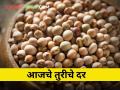 Todays Market Rate : पाहा आज राज्यात तुरीला किती मिळाला दर? - Marathi News | Todays Market Rate: See how much Turi got in the state today? | Latest agriculture News at Lokmat.com