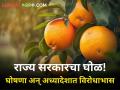 घोषणा 'निर्यात सुविधा केंद्रा'ची पण अध्यादेशात 'संत्रा प्रक्रिया केंद्रा'चा उल्लेख! राज्य सरकारचा घाेळ - Marathi News | | Latest agriculture News at Lokmat.com