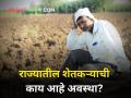Sena MLA Disqualification Case : '३ वर्षात ३ कृषीमंत्री, सरकार अस्थिर! शेतकरी वाऱ्यावर' - Marathi News | | Latest agriculture News at Lokmat.com
