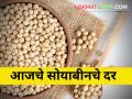 ठराविक बाजार समित्यांतच होतेय सोयाबीनची आवक अन् मिळतोय एवढा दर - Marathi News | Soybean inflow and price are getting in certain market committees only | Latest agriculture News at Lokmat.com