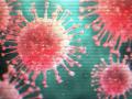 CoronaVirus in Nagpur : बाधित व कुटुंबीयांनी स्वत:हून तपासणीसाठी पुढाकार घेतला - Marathi News | CoronaVirus in Nagpur: Disrupted and family members take initiative to investigate themselves | Latest nagpur News at Lokmat.com