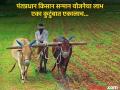 पीएम किसान योजनेतून राज्यातील अडीच लाख शेतकरी वगळले; नेमकं कारण काय ? - Marathi News | 2.5 lakh farmers in the state were excluded, beneficiaries of 21st installment decreased compared to 20th installment of PM Kisan | Latest pune News at Lokmat.com