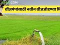 वीजपंपांसाठी नवीन वीजजोडण्या मिळण्याचा मार्ग मोकळा  - Marathi News | Make way for new power connections for power pumps | Latest agriculture News at Lokmat.com