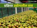 कृषी प्रक्रिया उद्योग सुरु करायचाय? या ठिकाणी आहेत अमर्याद संधी - Marathi News | Want to start an agro processing industry? There are limitless opportunities here | Latest agriculture News at Lokmat.com