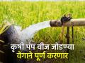 कृषी पंप वीज जोडणीसाठी उच्च दाब वितरण प्रणाली योजनेला मुदतवाढ - Marathi News | Extension of High Pressure Distribution System Scheme for Agriculture Pump Power Connection | Latest agriculture News at Lokmat.com