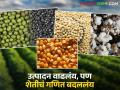 Agricultural Production : शेतीत उत्पादन वाढले, पण क्षेत्र घटले; जाणून घ्या कोणती पिकं पुढे! वाचा सविस्तर - Marathi News | latest news Agricultural Production: Agricultural production increased, but area decreased; Know which crops are next! Read in detail | Latest agriculture News at Lokmat.com