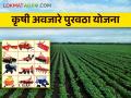 ट्रॅक्टरपासून ते स्वयंचलित यंत्रापर्यंत, कृषी अवजारे पुरवठा योजना आहे तरी काय? - Marathi News | latest News To buy implements for agriculture, check this government scheme | Latest agriculture News at Lokmat.com