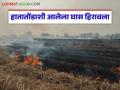 Agriculture News : शेतकऱ्यांनो, सावध राहा; 'ही' आग हिरावतेय हातातोंडाशी आलेला घास! - Marathi News | latest news Agriculture News: Farmers, be careful; 'This' fire is taking away the grass that is in your hands! | Latest agriculture News at Lokmat.com
