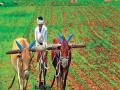 Agriculture: शेतीचे धार्मिकीकरण म्हणजे भिकेचे डोहाळे! - Marathi News | | Latest editorial News at Lokmat.com