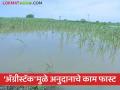 Crop Damage : मराठवाड्यातील शेतकऱ्यांना दिलासा; अ‍ॅग्रीस्टॅकनुसार निधी वाटपाला मिळणार गती वाचा सविस्तर - Marathi News | latest news Crop Damage: Relief for farmers in Marathwada; According to Agristack, fund distribution will get momentum Read in detail | Latest agriculture News at Lokmat.com