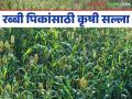 Agro Advisory : बदलत्या हवामानात रब्बी पिकांसाठी कृषी सल्ला वाचा सविस्तर - Marathi News | Agro Advisory: Read detailed agricultural advisory for Rabi crops in changing climate | Latest agriculture News at Lokmat.com