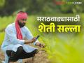Agro Advisory : शेतकऱ्यांनो! अशी घ्या पिकांची काळजी; कृषी सल्ला वाचा सविस्तर - Marathi News | Agro Advisory: Farmers! Take care of your crops like this; Read the agricultural advisory in detail | Latest agriculture News at Lokmat.com