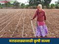 Agro Advisory : मराठवाड्यासाठी हवामान आधारित कृषी सल्ला वाचा सविस्तर - Marathi News | Agro Advisory : Read Weather Based Agriculture Advisory for Marathwada farmers | Latest agriculture News at Lokmat.com