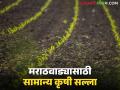 Agro Advisory : ढगाळ हवामानात असे करा पिकांचे नियोजन वाचा सविस्तर - Marathi News | Agro Advisory : Do this in cloudy weather crop planning Read detailed | Latest agriculture News at Lokmat.com