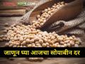 आज सोयाबीनला किती मिळाला दर? - Marathi News | maharashtra farmer agriculture market yard How much did soybeans get rate today | Latest agriculture News at Lokmat.com